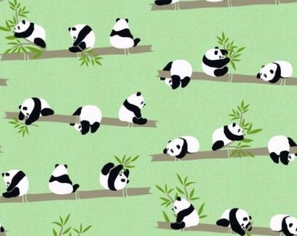 Portada Pandas - Mundoababol